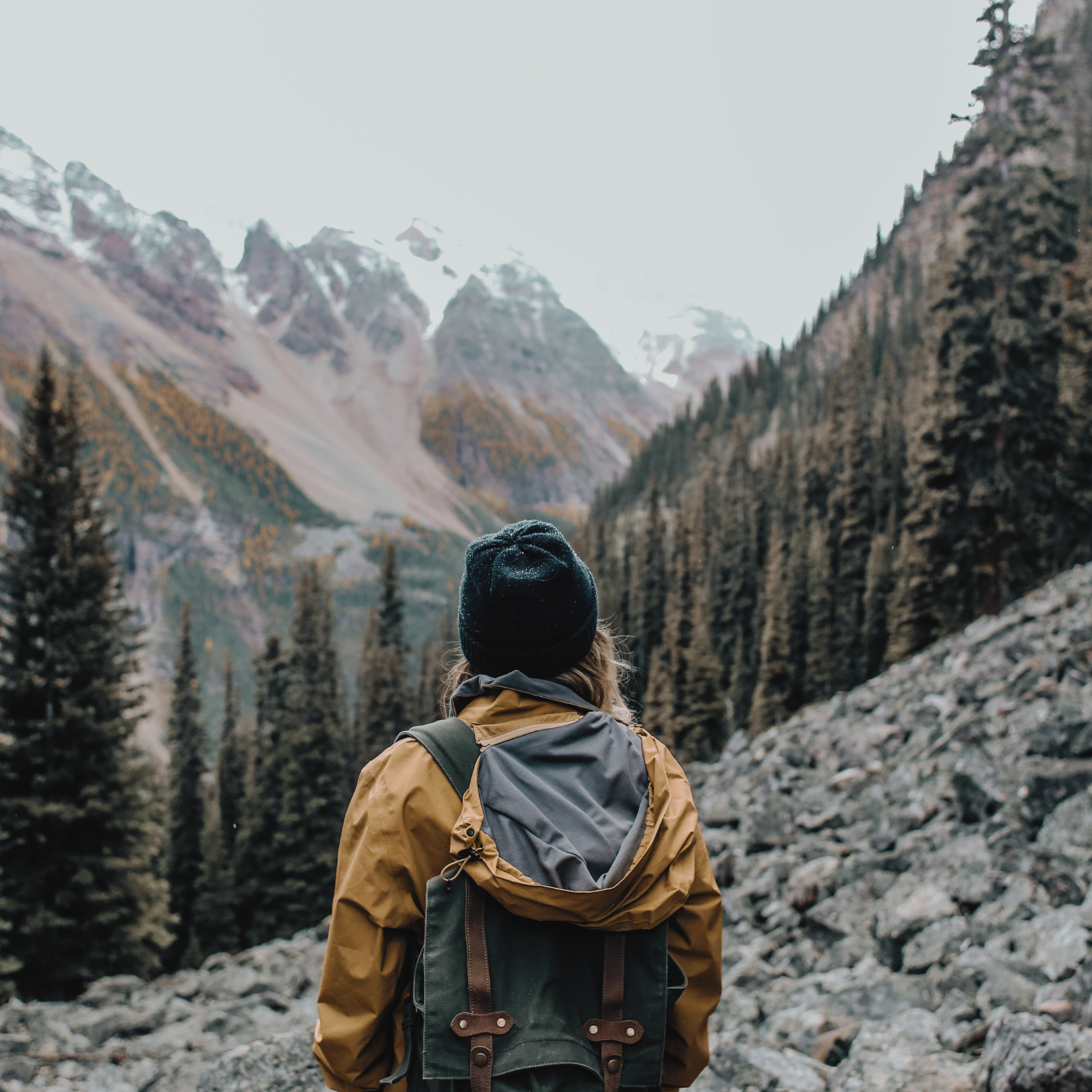 Small loan and mini loan